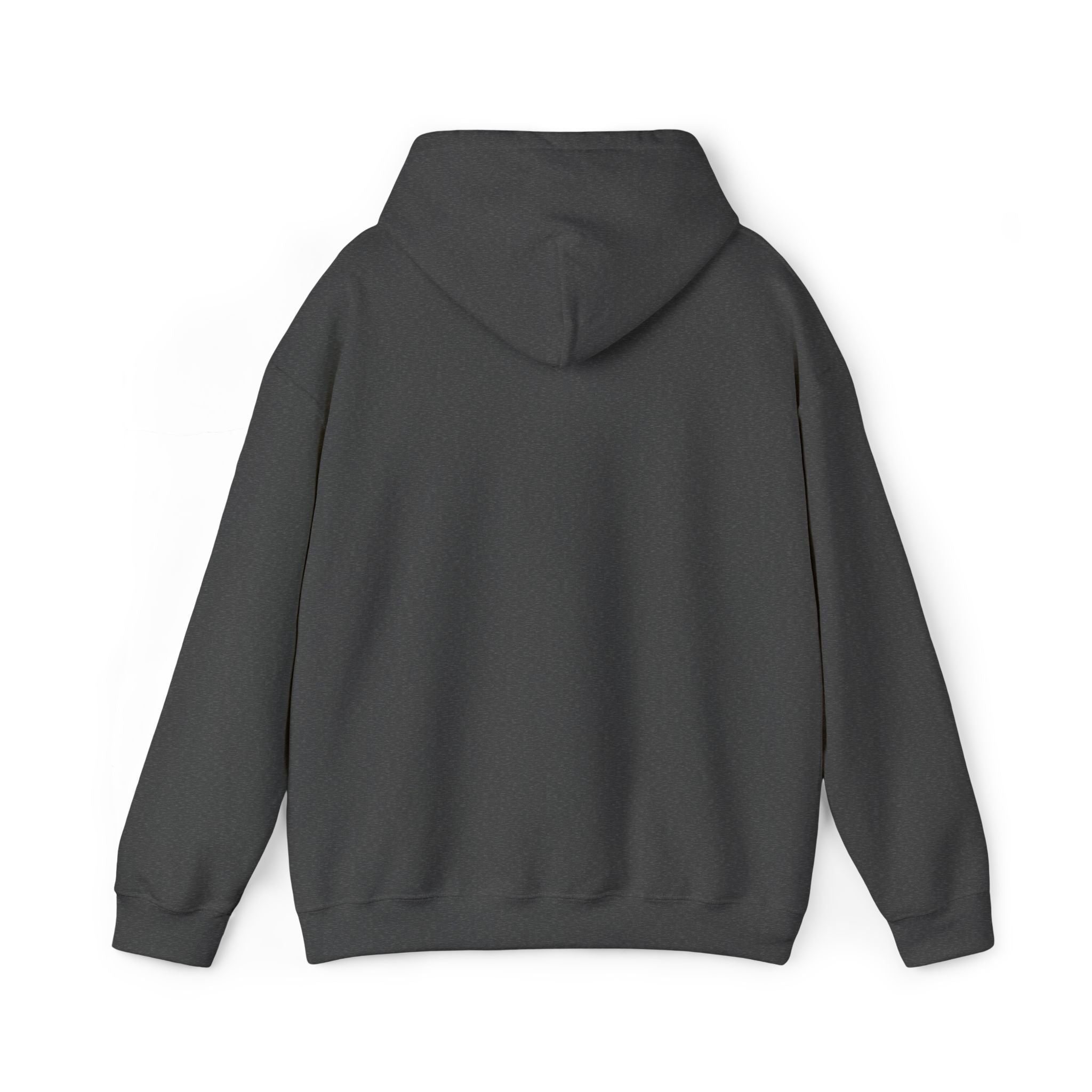 Worldview Campus Hoodie