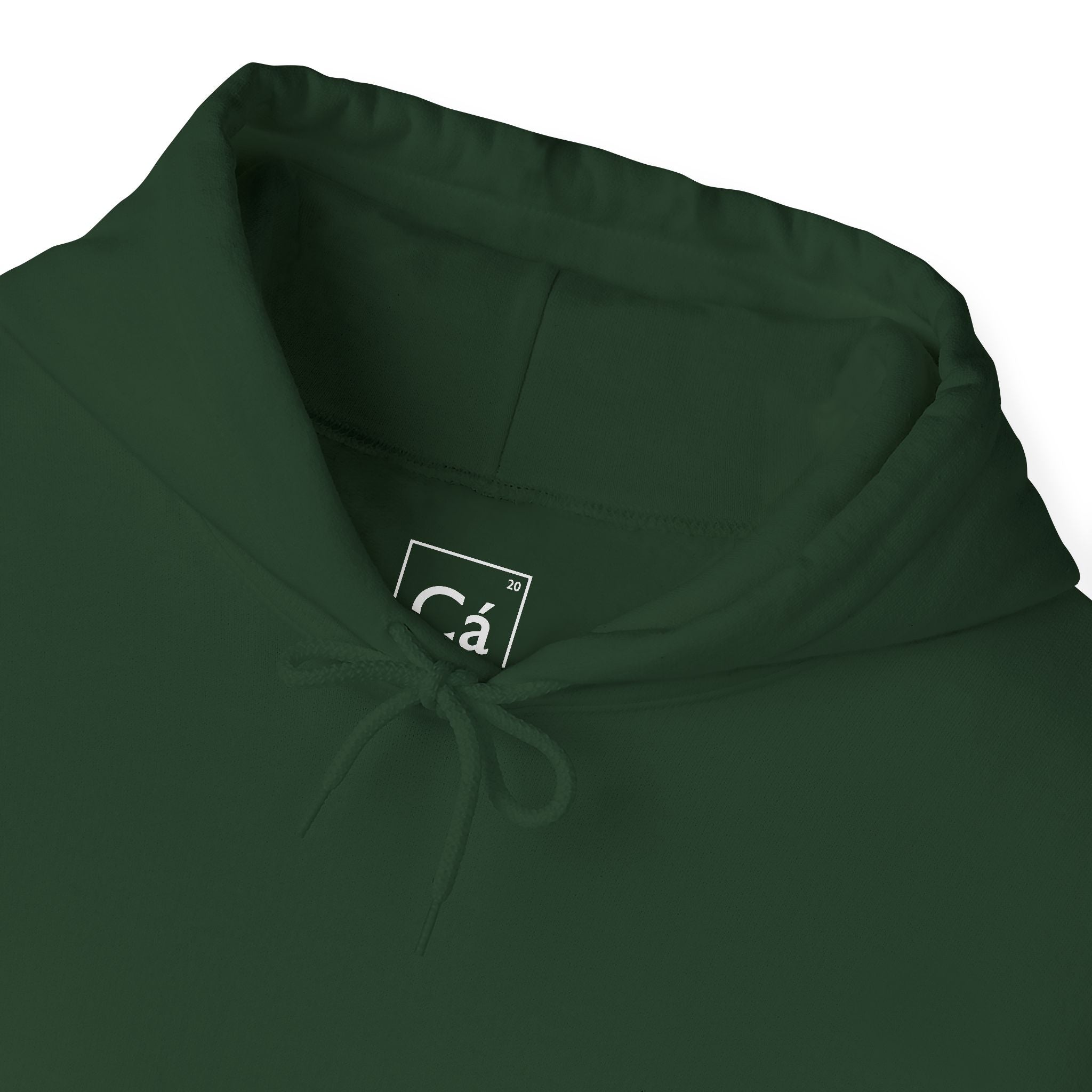 Worldview Campus Hoodie
