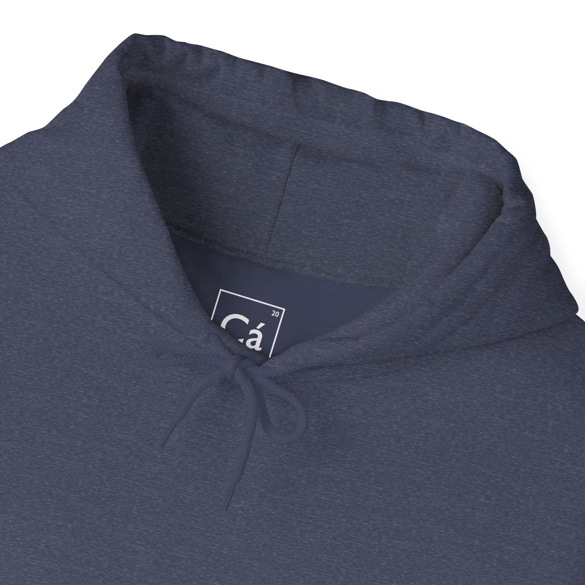 Worldview Campus Hoodie