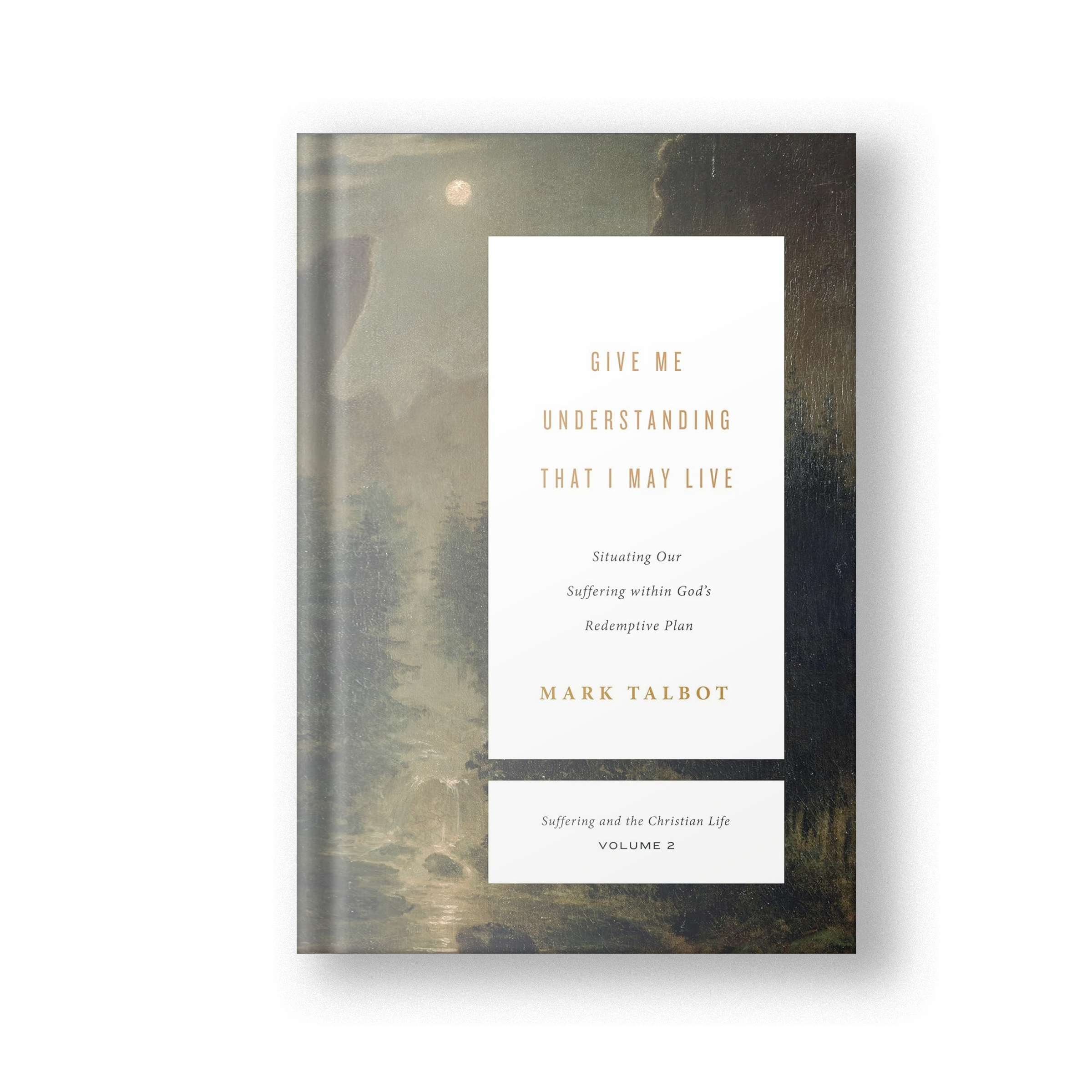 Give Me Understanding That I May Live: Situating Our Suffering within God&