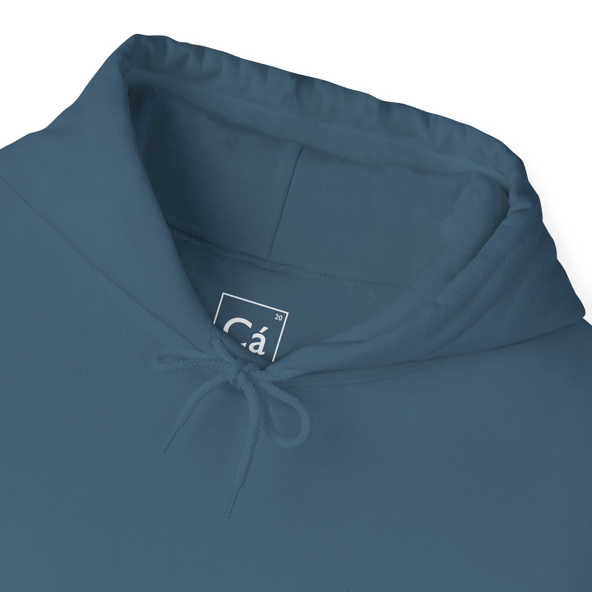 Worldview Campus Hoodie