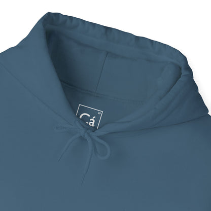 Worldview Campus Hoodie