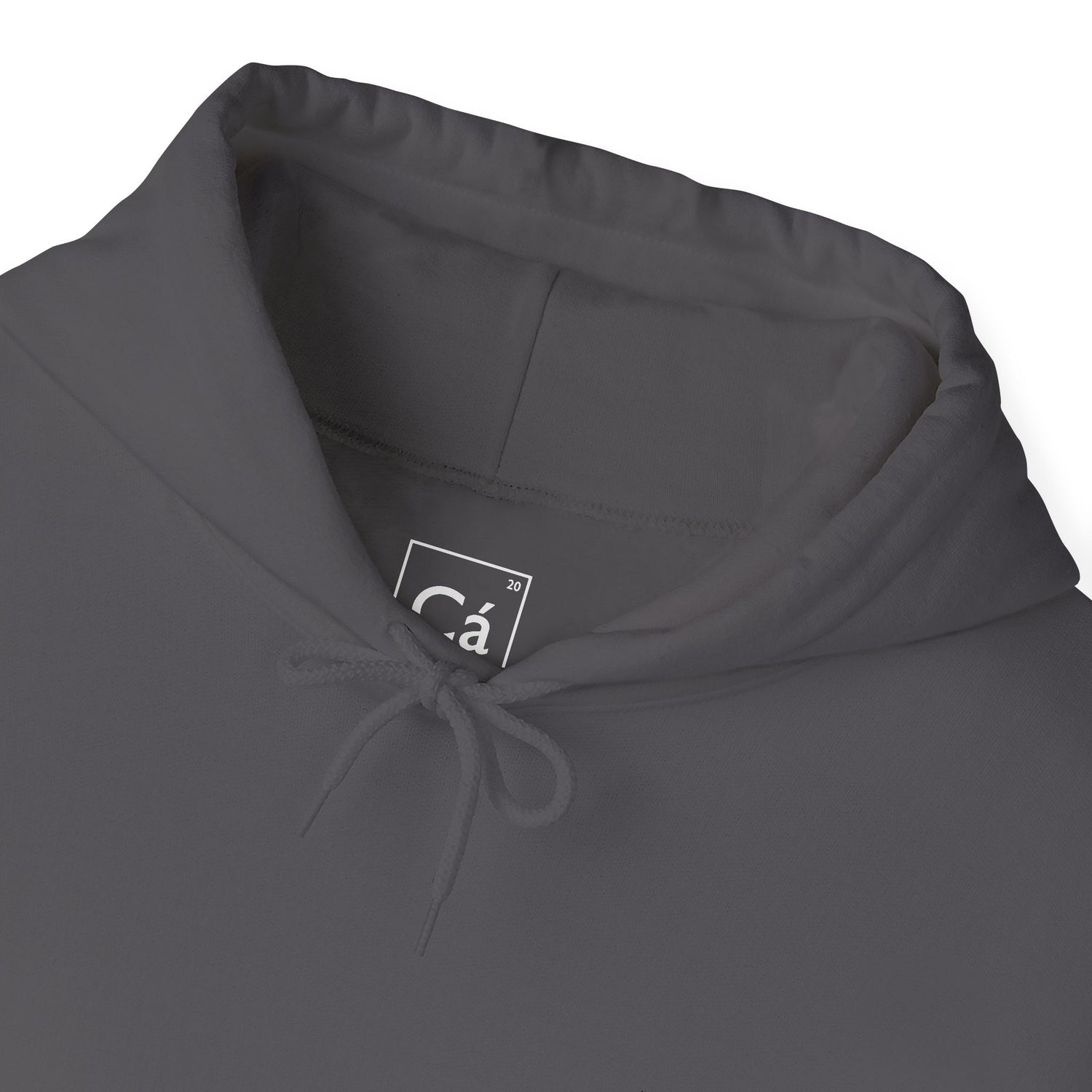 Worldview Campus Hoodie