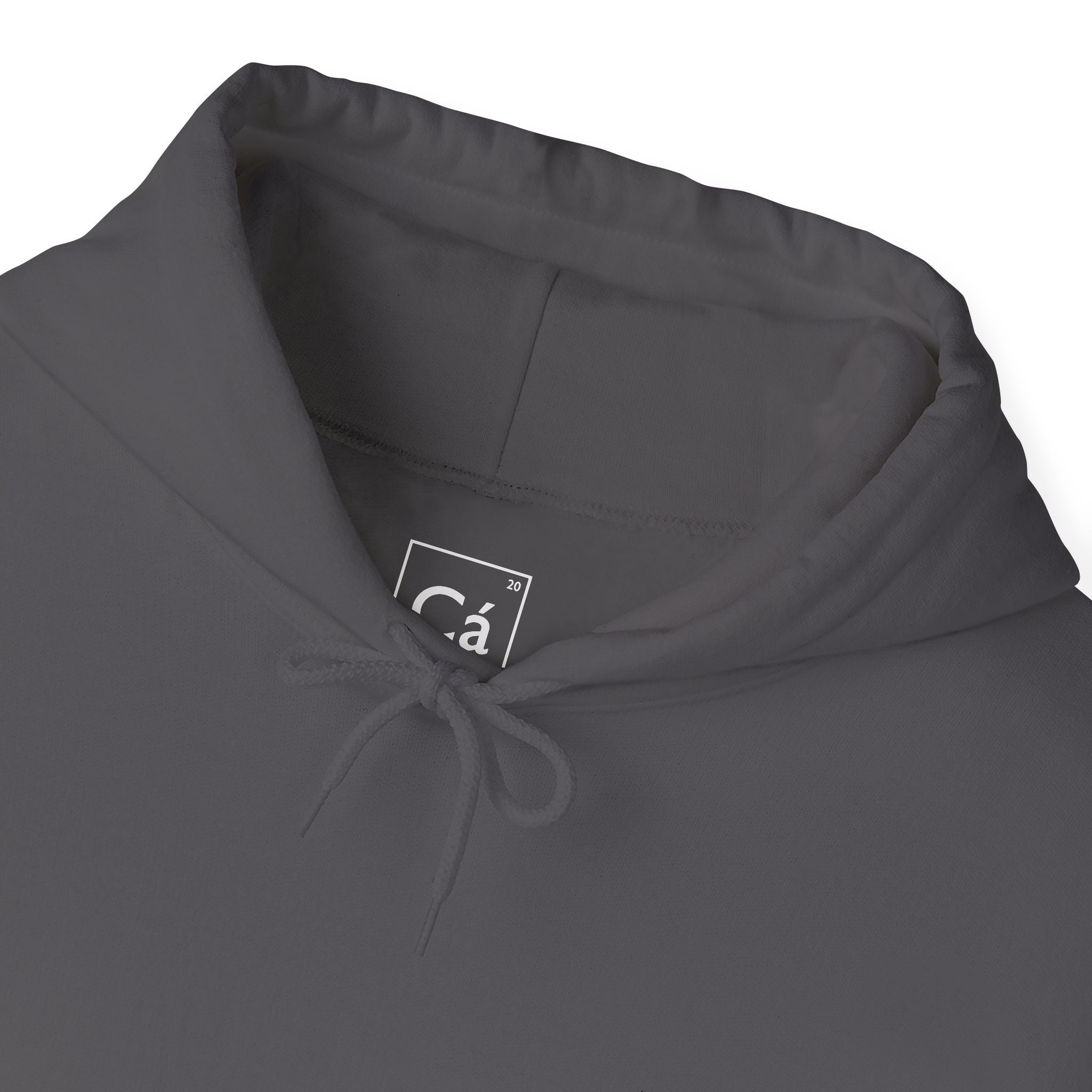 Worldview Campus Hoodie