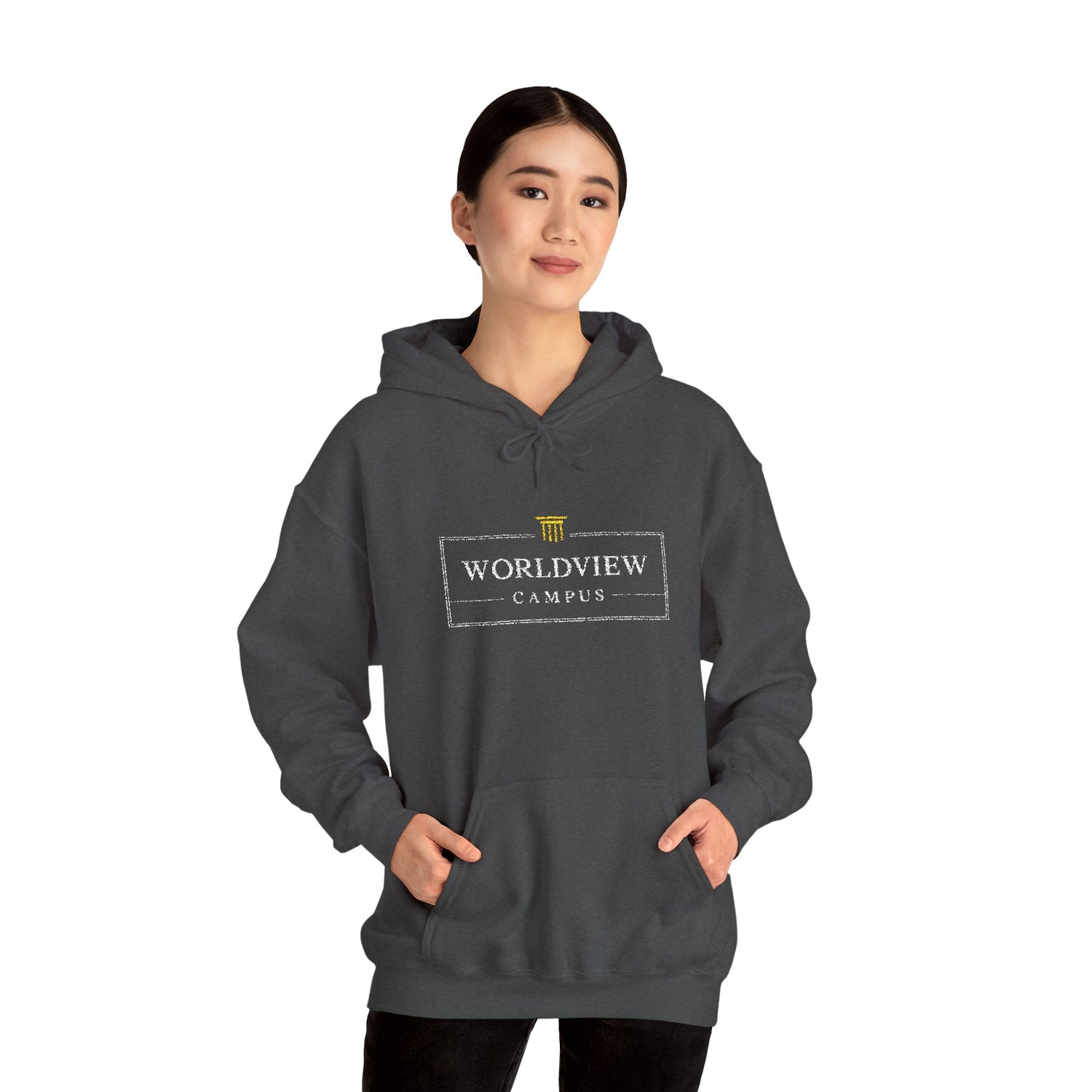 Worldview Campus Hoodie