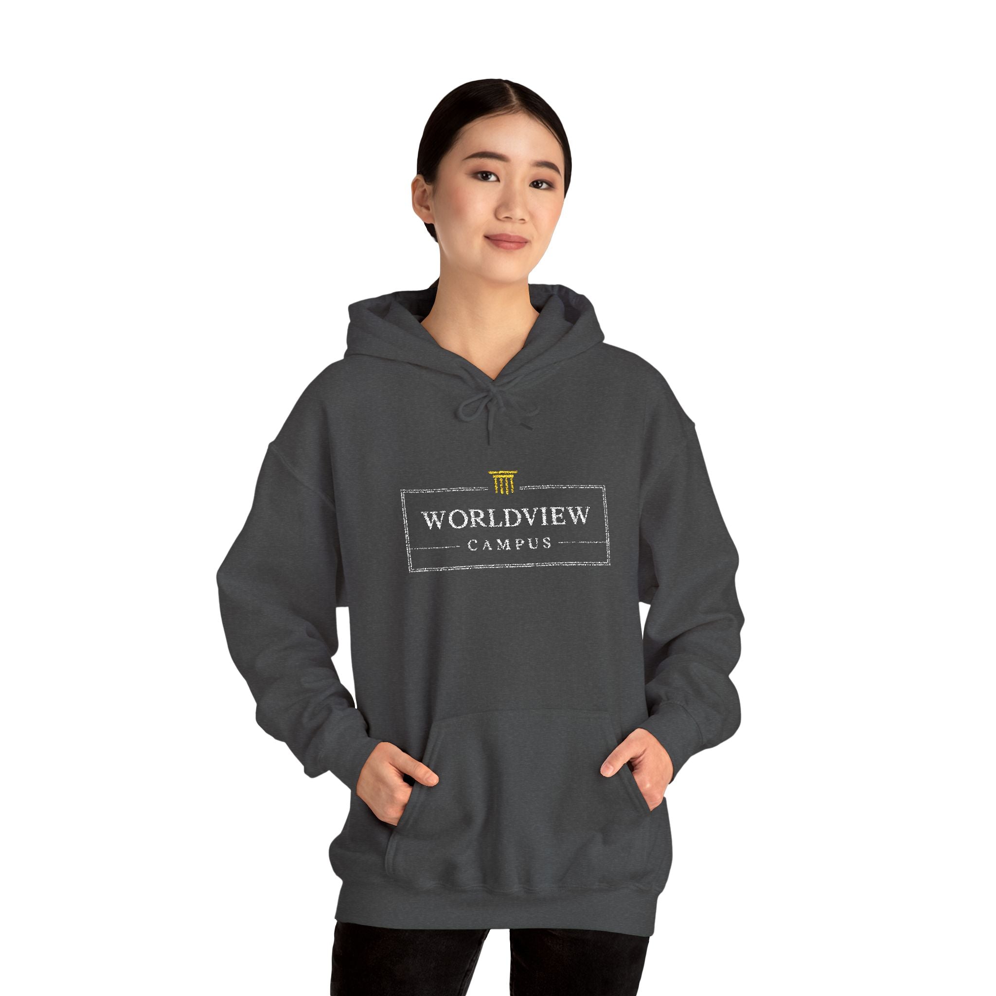 Worldview Campus Hoodie