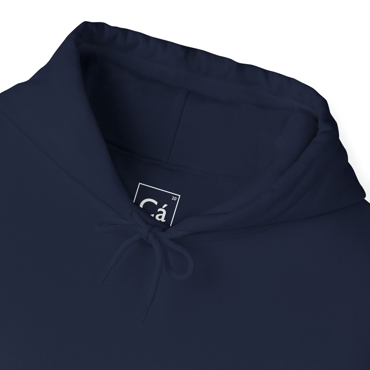 Worldview Campus Hoodie