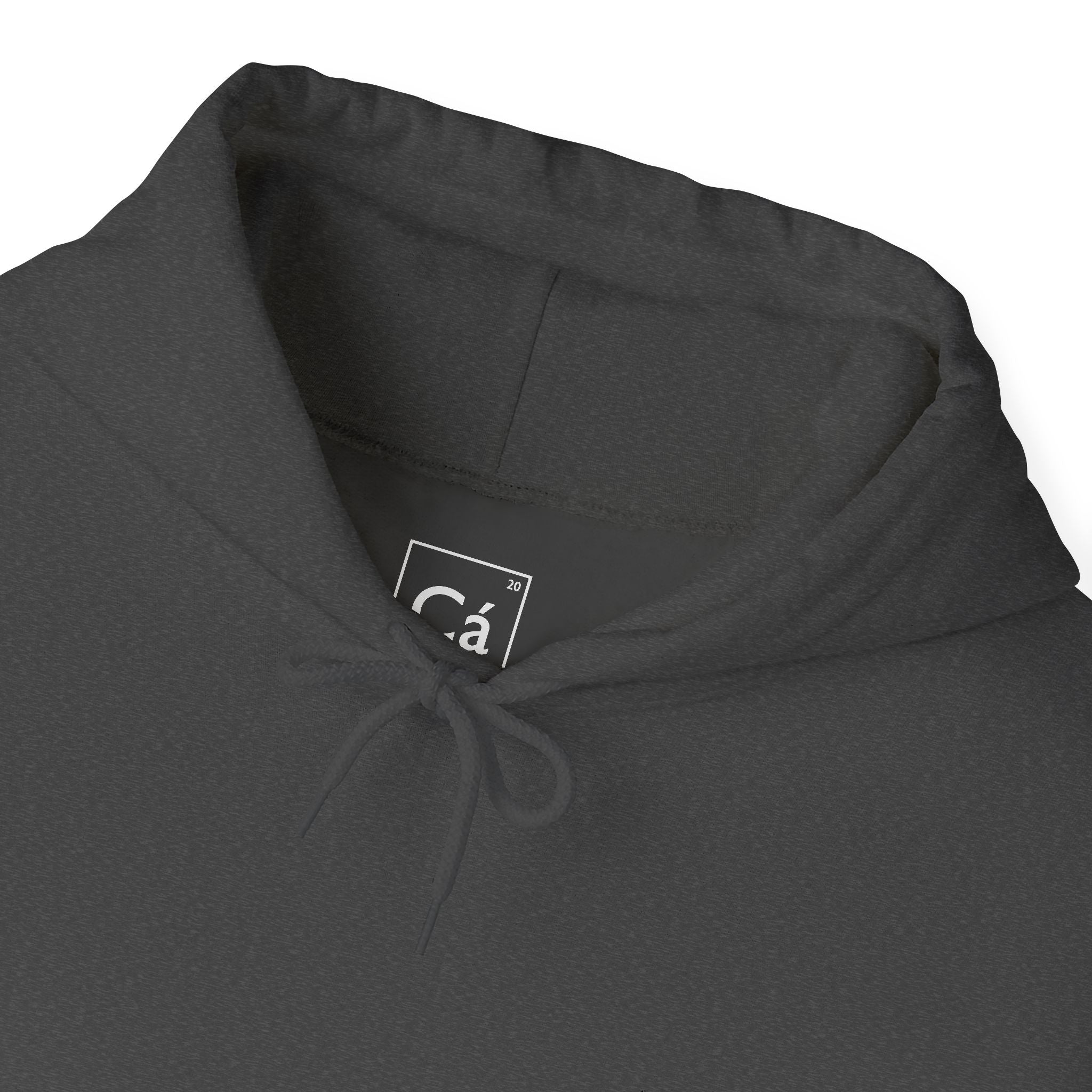 Worldview Campus Hoodie