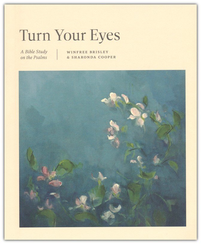 Turn Your Eyes: A Bible Study on the Psalms