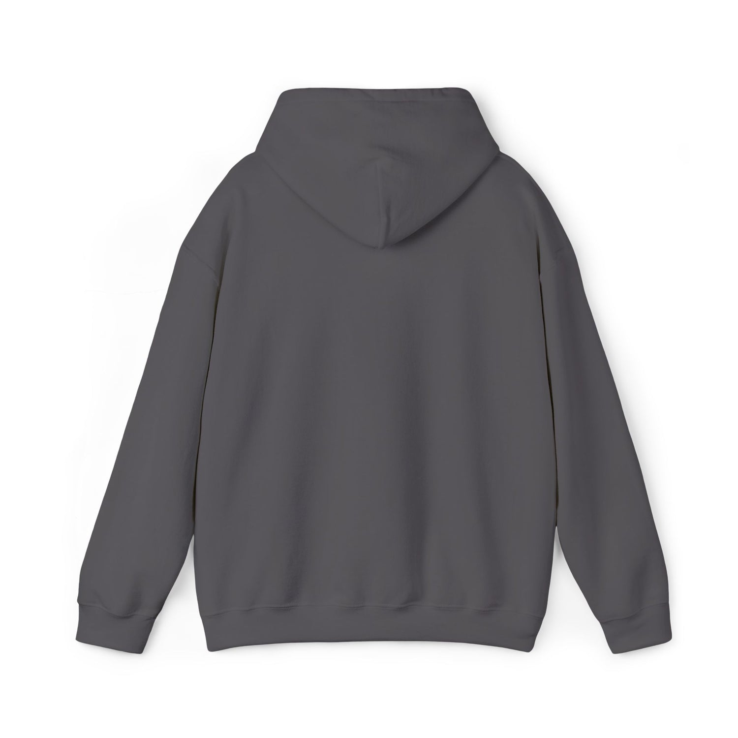 Worldview Campus Hoodie