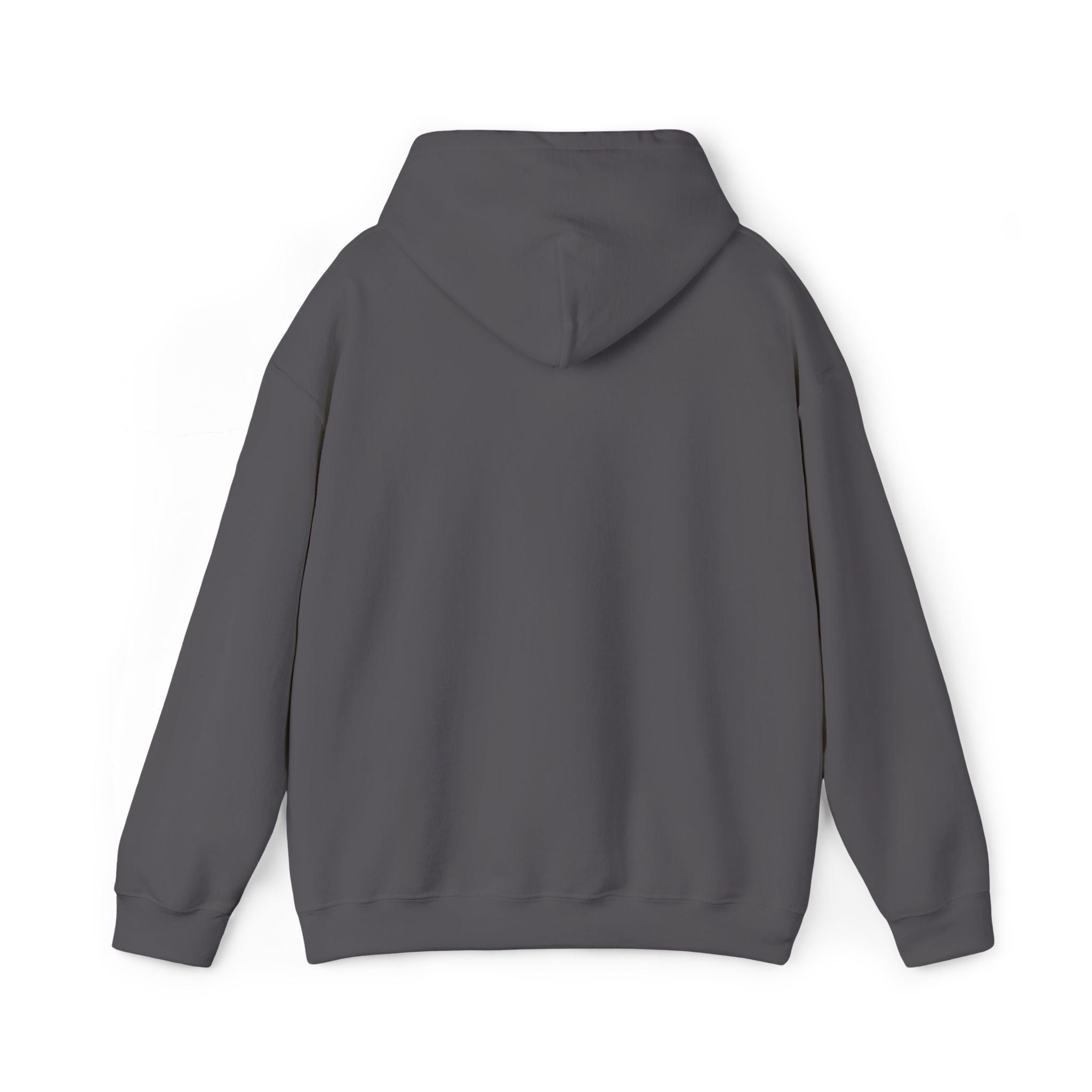 Worldview Campus Hoodie