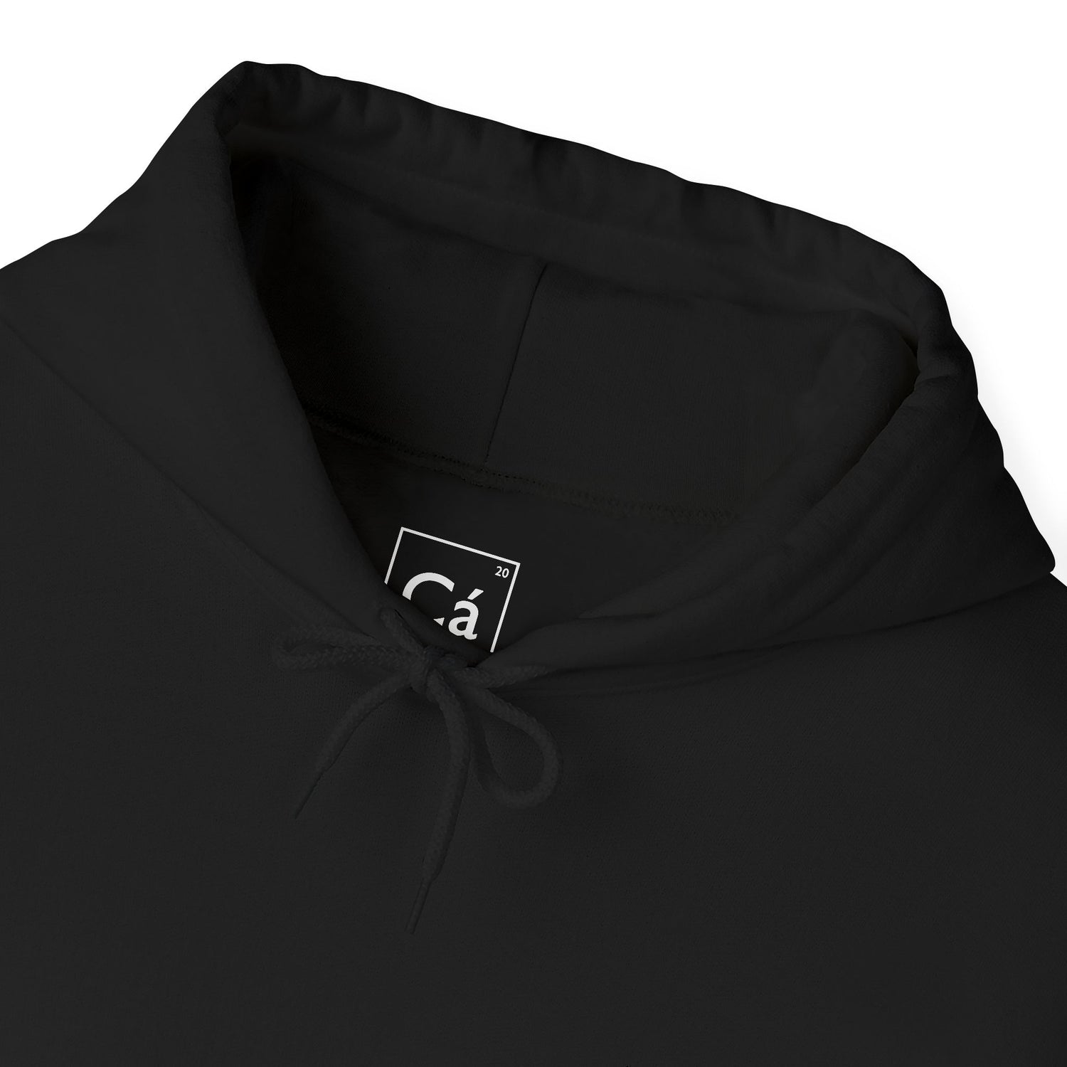 Worldview Campus Hoodie