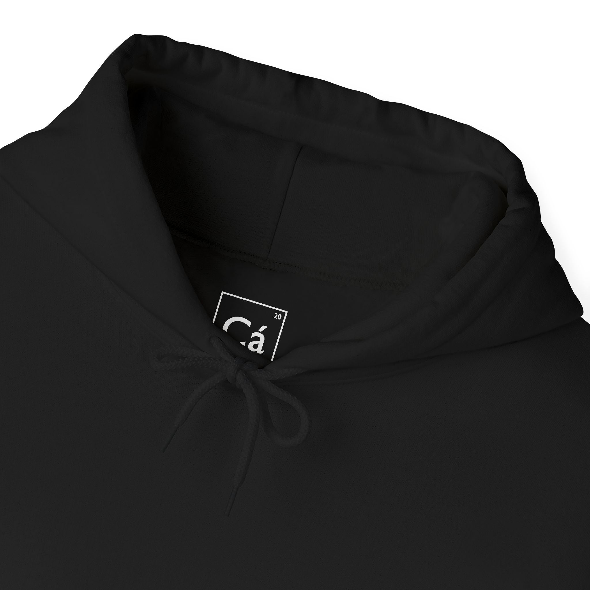 Worldview Campus Hoodie