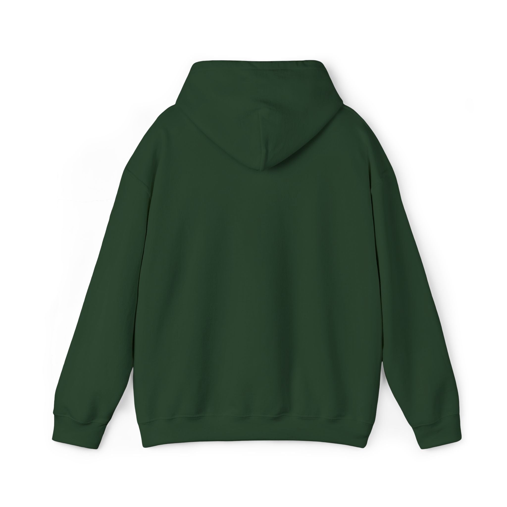 Worldview Campus Hoodie
