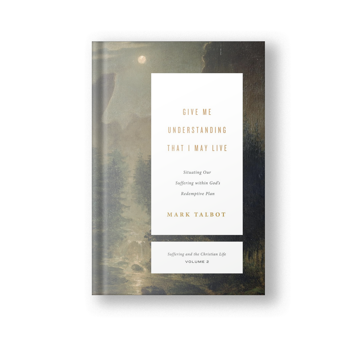 Give Me Understanding That I May Live: Situating Our Suffering within God&